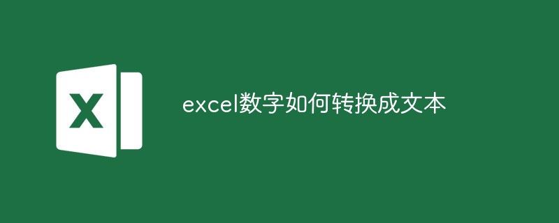 excel数字如何转换成文本