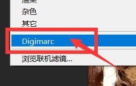Photoshop怎么读取水印_Photoshop读取水印教程