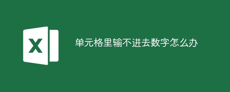 单元格里输不进去数字怎么办