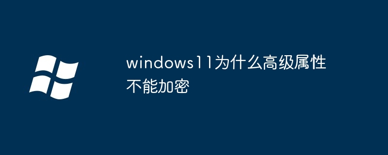 windows11为什么高级属性不能加密