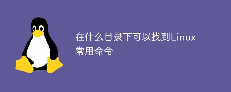 windows11怎么加入体验版