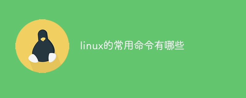 Windows 11 可以读取吗fat32