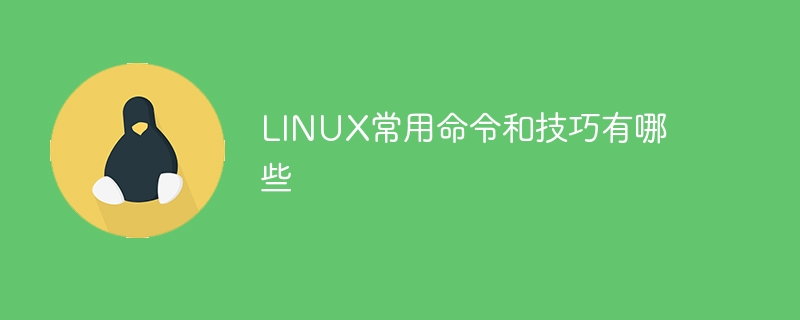 linux lvm缩容有哪些步骤