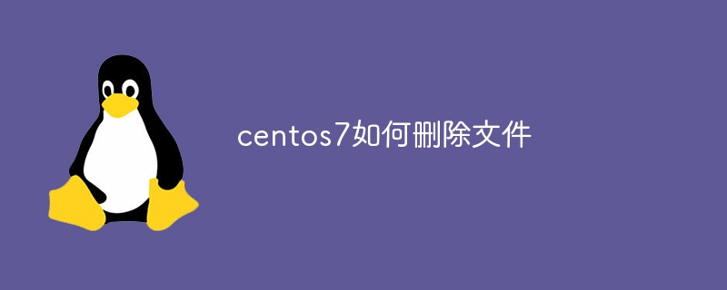 Windows 11 可以运行 Fortnite 吗