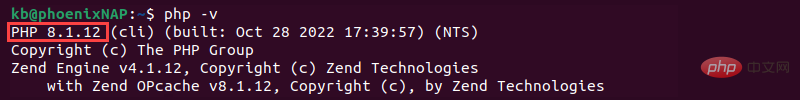 php -v 7.4 terminal output