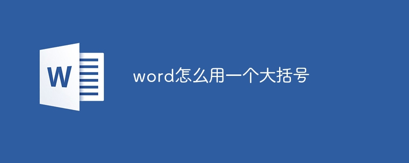 word怎么用一个大括号（括号.word.....）