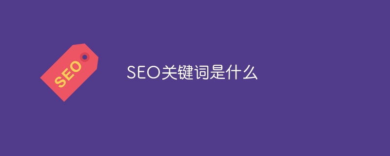 SEO关键词是什么（关键词.SEO.....）