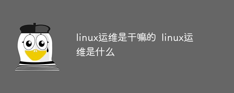 linux常用命令查看内存方法
