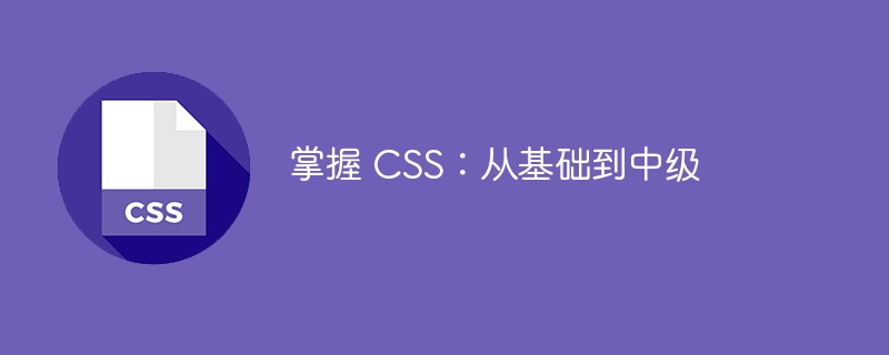 掌握 css：从基础到中级