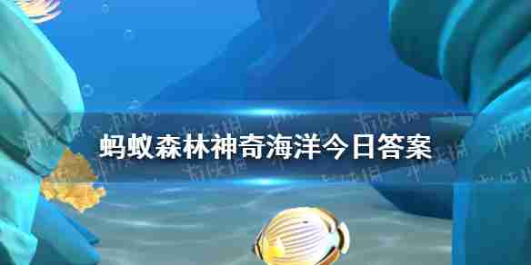 双髻鲨擅长哪种游泳方式   神奇海洋3月12日答案最新（哪种.擅长.游泳.神奇.海洋.....）