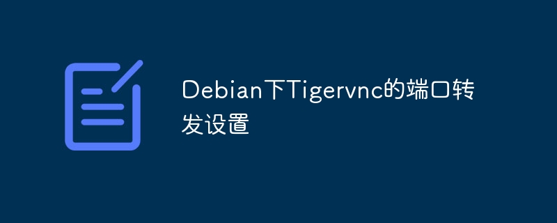 debian下tigervnc的端口转发设置