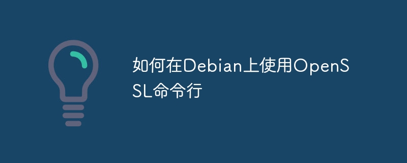 如何在Debian上使用OpenSSL命令行(命令行,如何在,Debian,OpenSSL....)