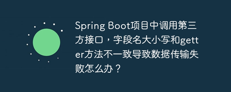 Spring Boot项目中调用第三方接口，字段名大小写和getter方法不一致导致数据传输失败怎么办？